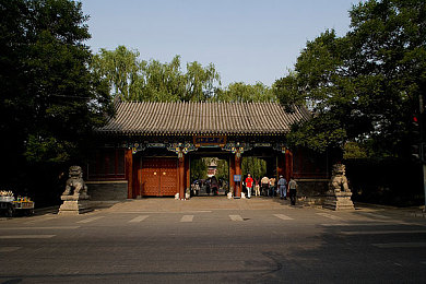 打扑克又叫又疼下载,扑克新宠，全球竞技，趣味无限-1
