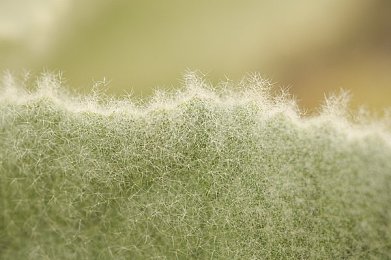 天天操天天拍,健身游戏新潮流，拍照互动乐趣多-1