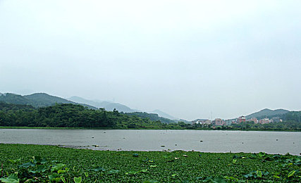 又又酱游泳馆酒店洛丽塔w9,夏日游戏新地标，洛丽塔风酒店引关注
