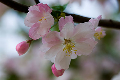 黄色软件下载安装3.3.0最新版免费,软件升级大揭秘，体验新高度-3