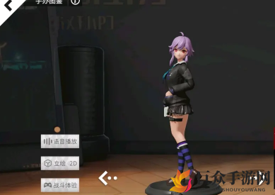 高能战队角色阵型解析，各职业站位效果详述